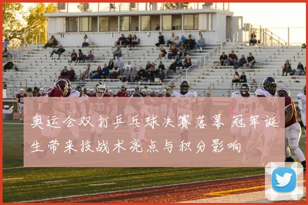 奥运会双打乒乓球决赛落幕 冠军诞生带来技战术亮点与积分影响