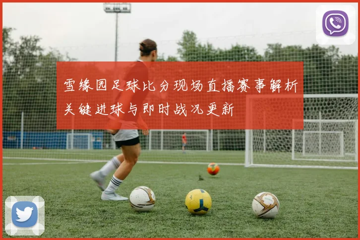 雪缘园足球比分现场直播赛事解析关键进球与即时战况更新
