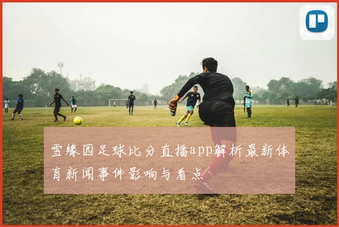 雪缘园足球比分直播app解析最新体育新闻事件影响与看点